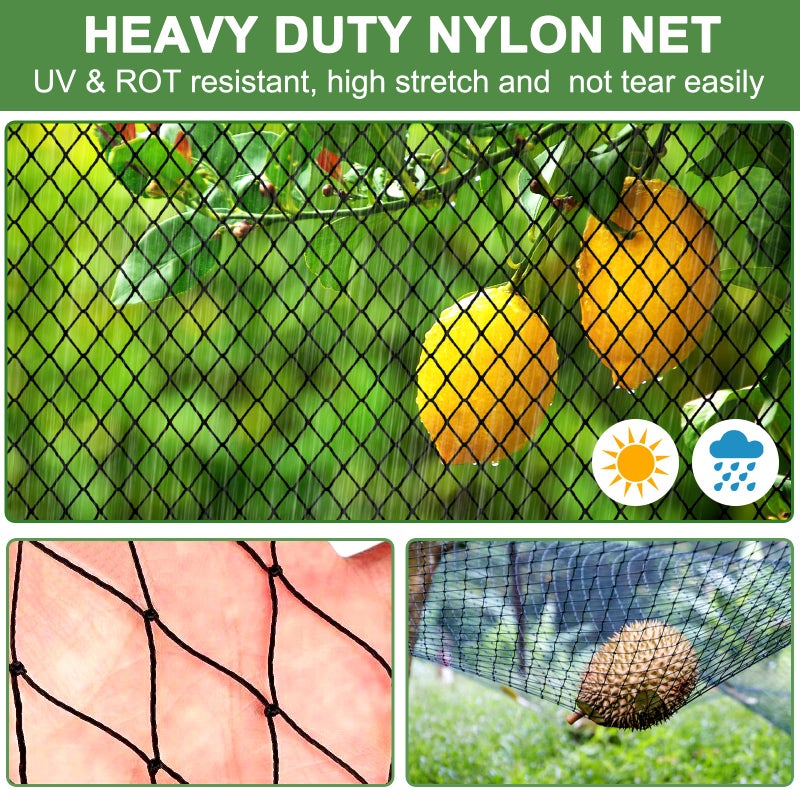 DQS Bird Net - 25' x 50' Garden Netting with 2.4" Square Mesh Protect Fruit Tree, Plant and Vegetables from Poultry, Deer and Pests, Heavy Duty Bird Netting for Garden, Farm, Orchard - Image 2
